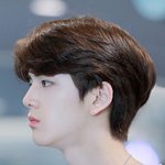 흠잡을 곳 없이 <b>모범적</b>인 비주얼