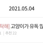 와! 오늘의 판 처음 간거 <b>자축</b>하기