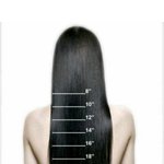 [댓글부탁해] 머리길이 이정돈데 <b>봉고</b>데기