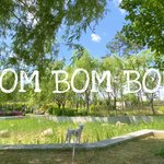 [강아지] 롱티즈의 <b>산책</b> 비디오