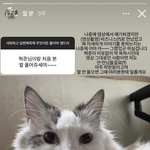 <b>산</b><b>범</b> 머니게임