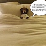 [댓글부탁해] 얘들아 최악의 <b>요일</b> 적고 가셈ㅋㅋㅋㅋㅋ