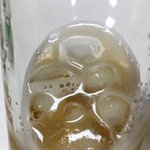 무<b>알콜</b> 맥주라는디