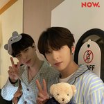 [골든차일드] 곰돌이랑 <b>영혼</b> 바꾸고싶다