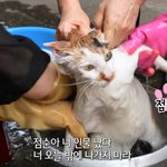 [추반] 폰 살건데 추반 좀 ㅈㅂㅈㅂ