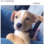 [19] 쓰니<b>마크</b> 어떻게달아?