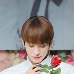 [더보이즈] <b>장미꽃</b>보이즈