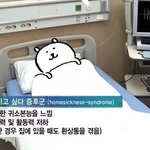 [댓글부탁해] <b>동아시아</b>사 하루 벼락치기 어떡하지