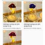 어버이날 카네이션 무드등 선물로 괜찮을까