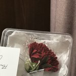 [댓글부탁해] 얘들아 어버이날 선물 이거어떰?