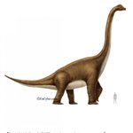 [NCT즌] 우리 <b>브라자</b> 공룡님