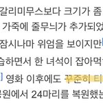 [NCT즌] <b>쥬라기</b>공원도하는 티갈