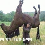 레이디버그