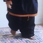 [NCT즌] 아기콩알 다리길이 한뼘임