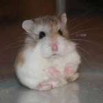 [BTOB] 이사진만 보면