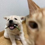 [댓글부탁해] 162cm랑 165cm랑 <b>차이</b> 많이 커?