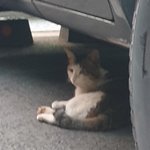 [댓글부탁해] 엠잘알 <b>infp</b> 질문 받음~~