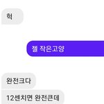 [19] 판녀들아 ㅋㅋㅋ 솔까 12센치면 <b>대물</b>이다 ㅇㅇ