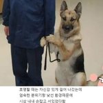 블라우스 예쁜 쇼핑몰 알려주라 ㅠ