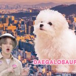 [NCT] <b>대갈</b>로사우르스