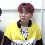 [세븐틴] 아기야웡기여웡<b>완전</b>기여웡