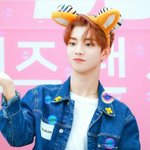 [더보이즈] 에버랜드 직원같음