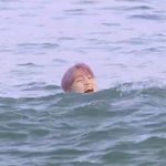 [더보이즈] 같이 워터파크 갔는데