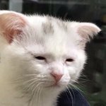 너네 이 등급이면 <b>수시</b>할래 정시할래..