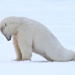 [더보이즈] 노 몰 암 다운 폴유 차츰 <b>어둠</b>이 드리울테니