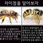 [댓글부탁해] <b>코딩</b> vs 미디어