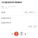 [펜타곤] 벽반 유니들 투표 결과