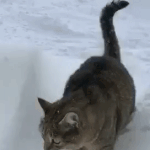 [댓글부탁해] 지가 늦어놓고 변명도 참 웃김