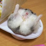 [드루와] 요즘 인스타 <b>셀럽</b>들 다 똑같이 생김