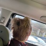 [NCT즌] 아 미췬 개기<b>엽네</b>