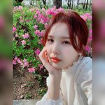 써니힐 <b>역주행</b> 기원 39일차