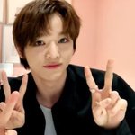[NCT즌] 숑며들다..