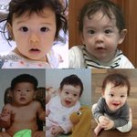 찐건나블리로 보는 유전자의 신비