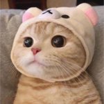 [꼭조언부탁] <b>눈</b>화장 배울수있을까?