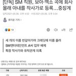 SM <b>직원</b>, 보아·엑소 곡에 회사 몰래 아내를 작사가로 <b>등록</b>…중징계