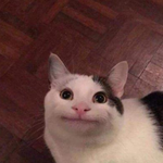 [NCT즌] 이거 완전 이<b>마끄</b>
