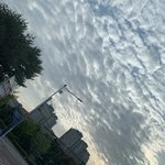[NCT즌] 실시간 <b>김포</b> 즈니