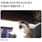 [NCT즌] 이거 영상 아는 찌찌 있어?
