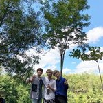 [세븐틴] 배틀트립