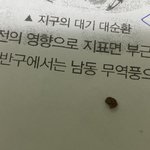 [드루와] 혐 으엑 귀걸이 뺐는데 <b>염증</b> 떨어짐