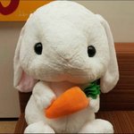 투바투 비담 이 멤버잖아