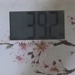 나 약간 몸무게 <b>강박</b>있나?