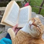 <b>온종일</b> 미소 짓게 만들 동물들