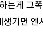 [NCT즌] 인티에서 본건데 <b>문화차이</b> 팬덤ㅊㅏ이로 나오는 문제들