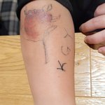 불법 개 농장에서 추노 문신한 여성 장애인 구조