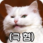 스엠의 아메리카 드림